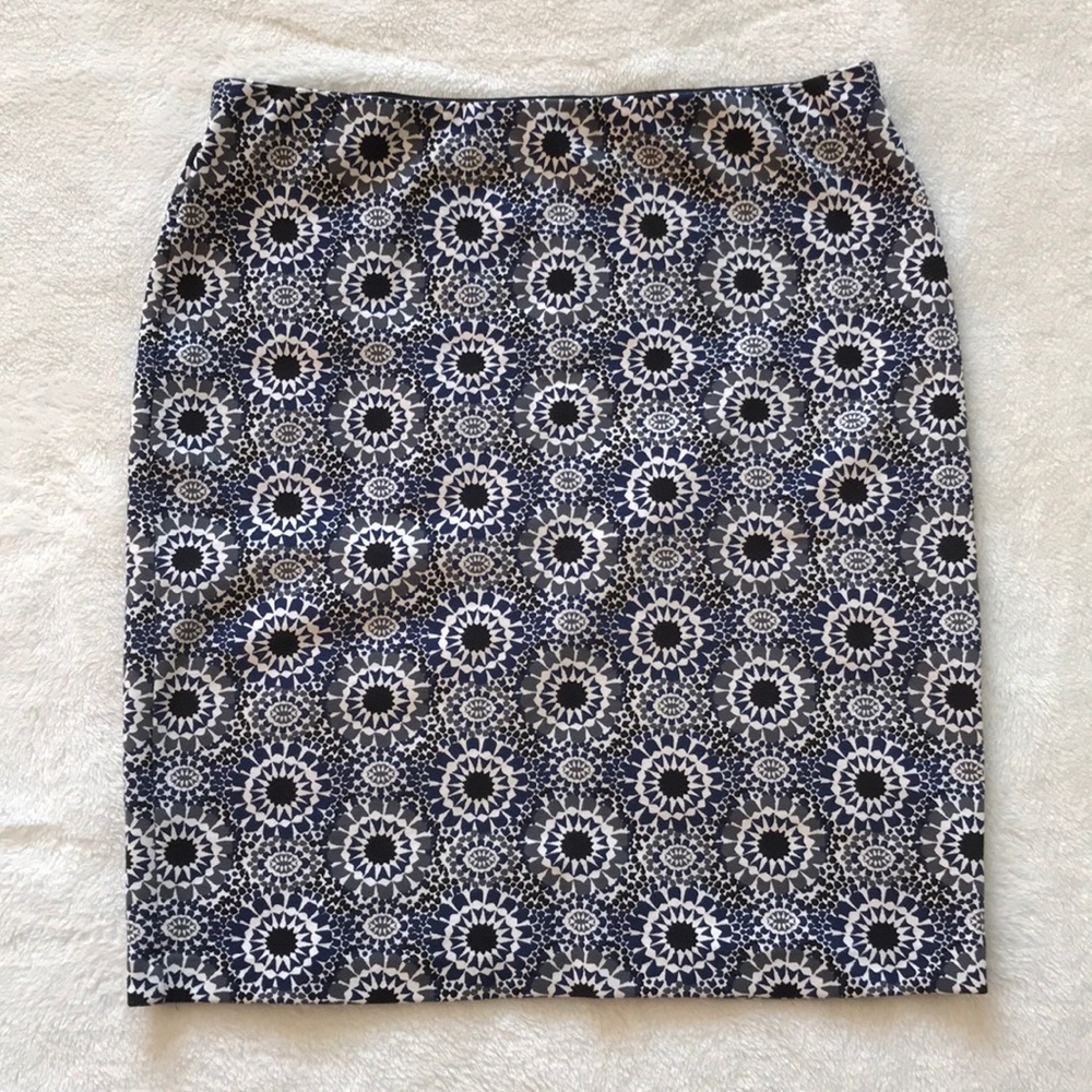 Ann Taylor Skirt